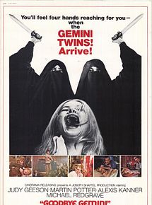 Affiche de Goodbye Gemini, film à voir en streaming sur Pygargue