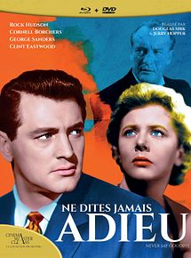 Affiche de Ne dites jamais adieu, film à voir en streaming sur Pygargue