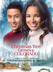 Affiche de Un sapin de Noël, deux amoureux, film à voir en streaming sur Pygargue