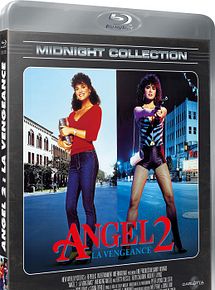 Affiche de Angel 2 : la vengeance, film à voir en streaming sur Pygargue