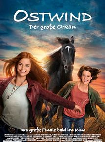 Affiche de Whisper 5 : Le grand ouragan, film à voir en streaming sur Pygargue