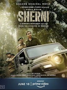 Affiche de Sherni, film à voir en streaming sur Pygargue
