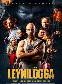 Affiche de Cop Secret, film à voir en streaming sur Pygargue