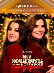 Affiche de Ma meilleure ennemie de Noël, film à voir en streaming sur Pygargue