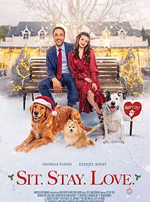 Affiche de Avec toi pour Noël, film à voir en streaming sur Pygargue