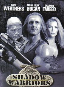 Affiche de Les Guerriers de l'ombre, film à voir en streaming sur Pygargue