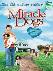 Affiche de Un miracle à 19 pattes, film à voir en streaming sur Pygargue
