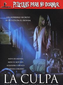 Affiche de La Faute, film à voir en streaming sur Pygargue