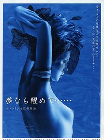 Affiche de Perfect Blue, film à voir en streaming sur Pygargue
