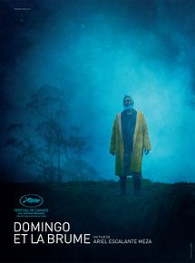 Affiche de Domingo et la brume, film à voir en streaming sur Pygargue