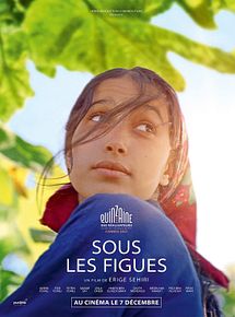 Affiche de Sous les figues, film à voir en streaming sur Pygargue