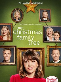 Affiche de Une famille surprise pour Noël, film à voir en streaming sur Pygargue