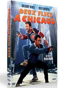 Affiche de Deux flics à Chicago, film à voir en streaming sur Pygargue