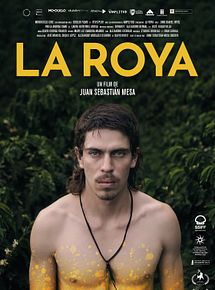 Affiche de La Roya, film à voir en streaming sur Pygargue