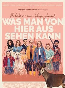Affiche de Le rêve de l’okapi, film à voir en streaming sur Pygargue