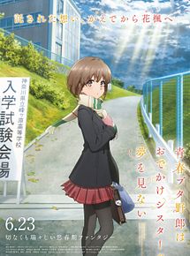 Affiche de Rascal Does Not Dream of a Sister Venturing Out, film à voir en streaming sur Pygargue