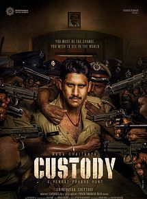 Affiche de Custody, film à voir en streaming sur Pygargue