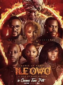 Affiche de Ile Owo, film à voir en streaming sur Pygargue