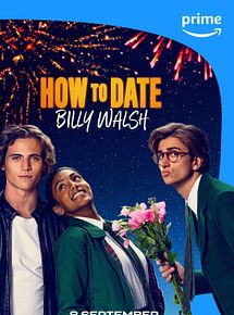 Affiche de A la conquête de Billy Walsh, film à voir en streaming sur Pygargue