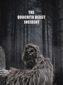 Affiche du film The Quachita Beast incident, à voir en streaming sur Play DD Streaming