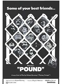 Affiche de Pound, film à voir en streaming sur Pygargue