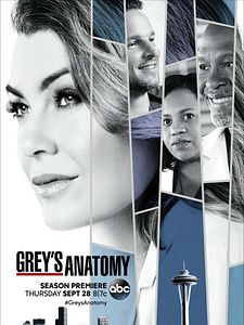 poster de la série Grey's Anatomy Saison 14