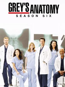 poster de la série Grey's Anatomy Saison 6