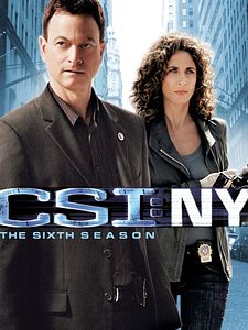 poster de la série Les Experts : Manhattan Saison 6