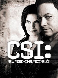 poster de la série Les Experts : Manhattan Saison 9