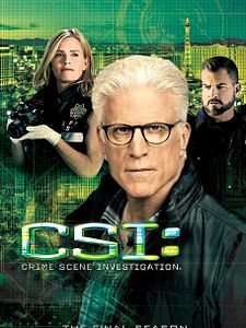 poster de la série Les Experts Saison 15