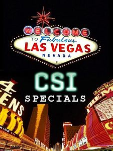 poster de la série Les Experts