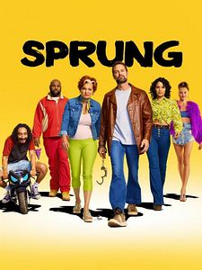 poster de la série Sprung Saison 1