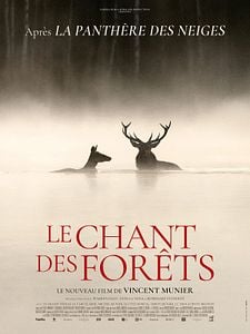 Le Chant des forêts