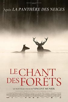 Le Chant des forêts