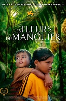Les Fleurs du manguier