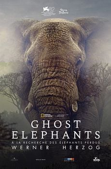 Ghost Elephants