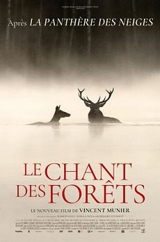 Le Chant des forêts