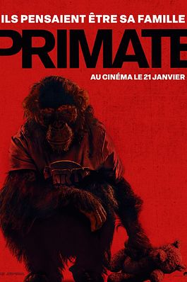 Primate