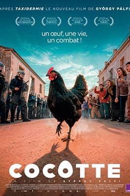 Cocotte