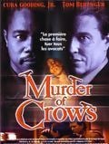 Murder of Crows