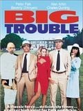Big Trouble