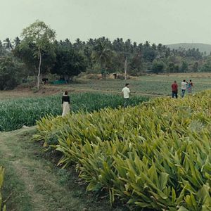 Photo Shimla, une fugue des temps modernes