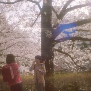 Photo 5 centimètres par seconde