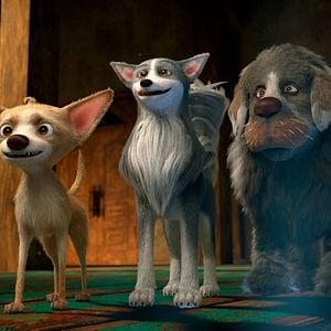 Photo Les Chiens à l'Opéra