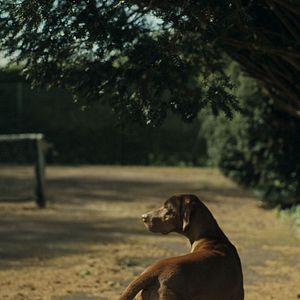 Photo L’Académie des secrets