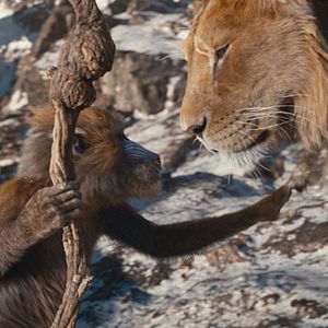Photo Mufasa : Le Roi Lion