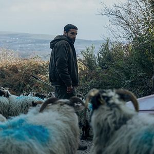 Photo Le Clan des bêtes