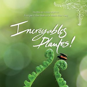 Photo Incroyables Plantes