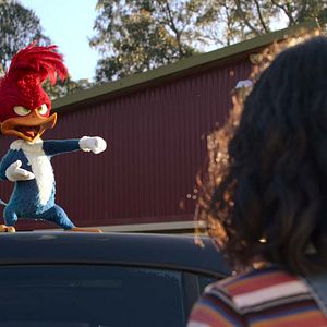 Photo Woody Woodpecker : Alerte en colo