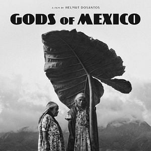 Photo Gods of Mexico
